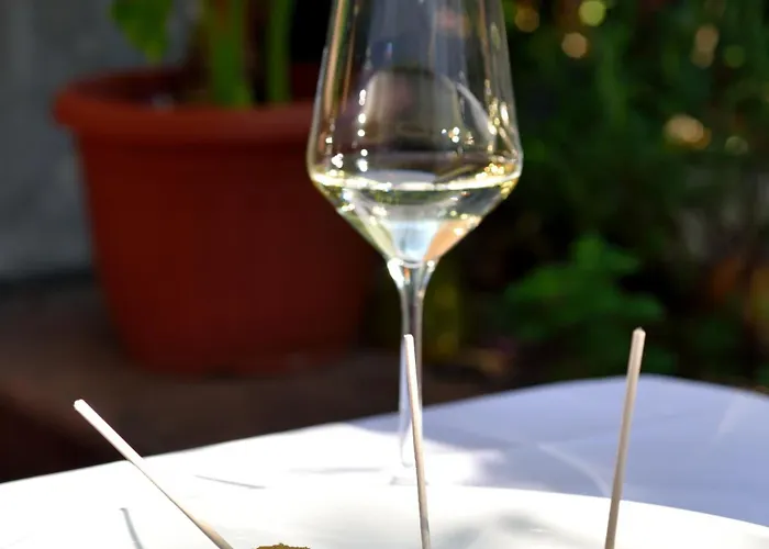 Rubin Kitchen&wine 3* 茨里克韦尼察